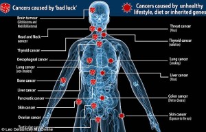 2460191F00000578-2893932-For_two_out_of_three_cancer_patients_the_cumulative_effect_of_ra-a-2_1420194040957