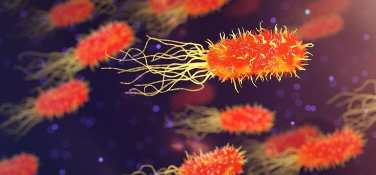 Research identifies possible new secret weapon in fight against antibiotic-resistant bacteria