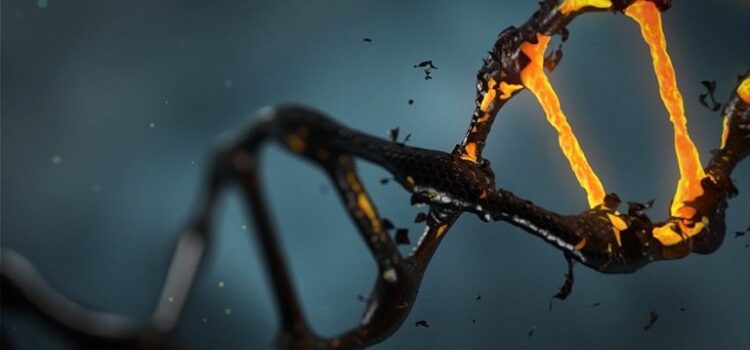 CRISPR Breakthrough: Scientists Can Now Turn Genes On and Off at Whim