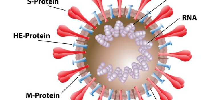 COVID-19 is primarily vascular disease allowing associated complications with the vaccine