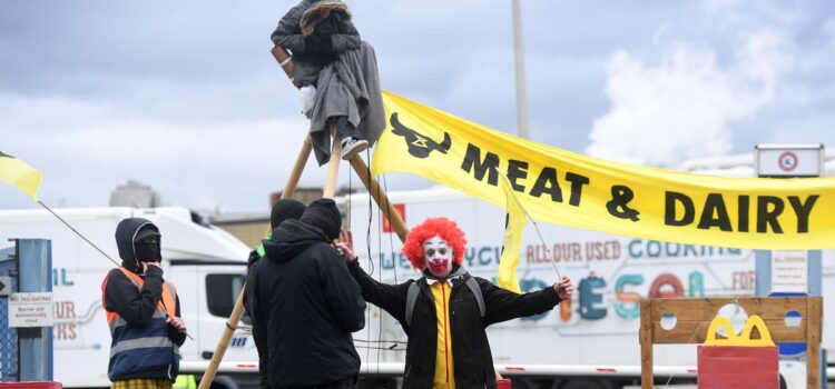 Protests for meatless McDonalds