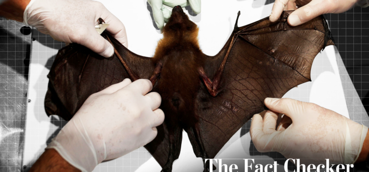 Bombshell Evidence: Live Bats in Wuhan Lab